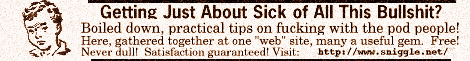 sniggle.net banner #21