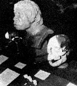 The Piltdown Man