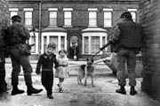 Belfast Children