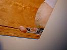 nv15-062.jpg