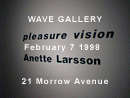 Cutts Gallery - pleasure vision by Anette Larsson