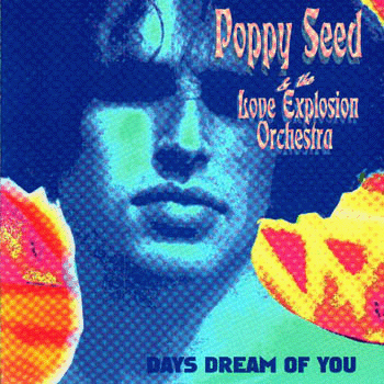 Poppy Seed & The Love Explosion Orchestra